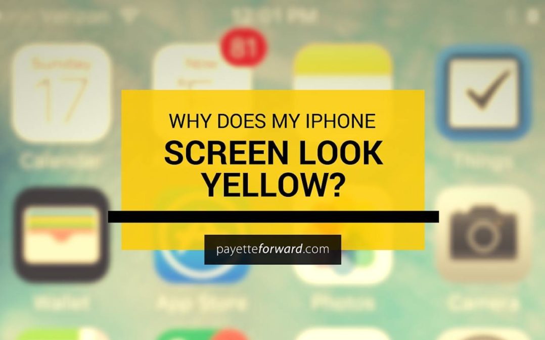Why Does My iPhone Screen Look Yellow? Here's The Fix!