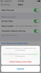 Clear History and Website Data iPhone