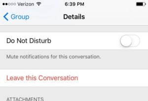 Leave This Conversation in Messages App Details