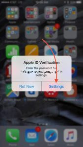 Tap Settings When Apple ID Verification Box Appears