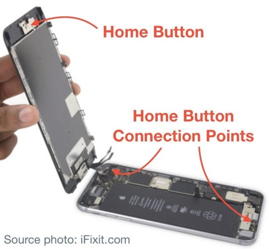 My iPhone Home Button Won