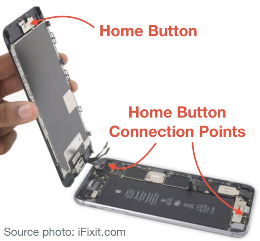 Puntos de conexión de la placa madre del botón de inicio del iPhone