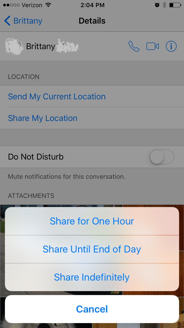 shared location iphone