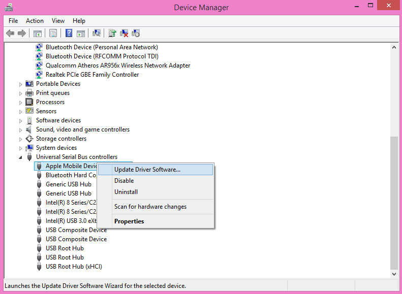 Update Apple Mobile Device Driver Software in Device Manager