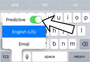 turn off predictive from the iphone keyboard