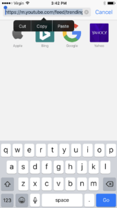 copy and paste url on an iphone