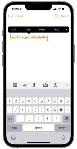 copy and paste text on iphone