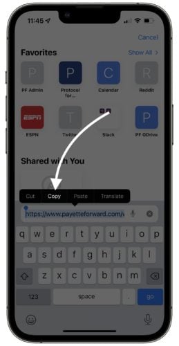 copy web url on iphone