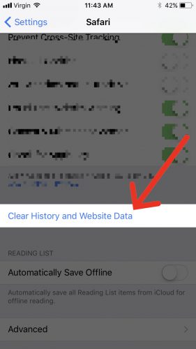 settings safari clear history and website data