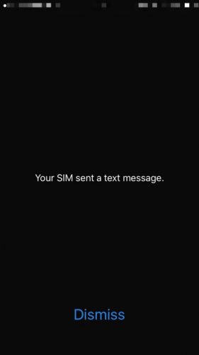 sim sent a text message