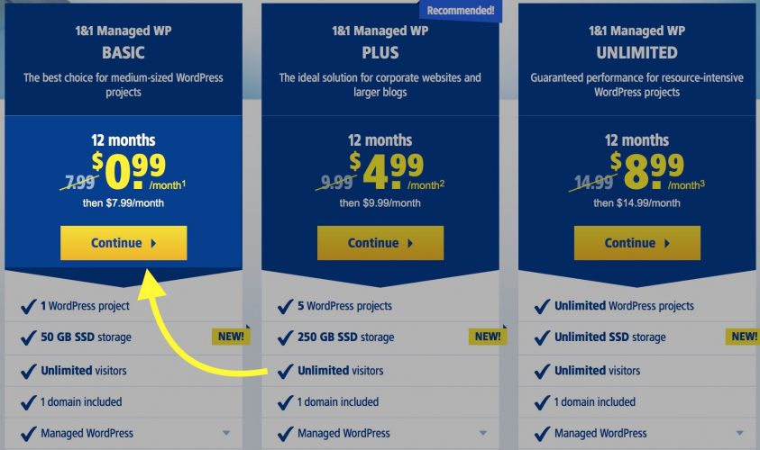 choose basic wordpress 1and1 plan