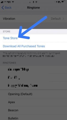 open the tone store on iPhone