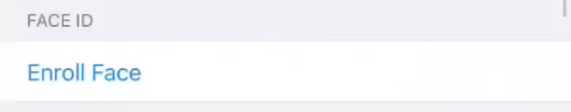 Enroll Face iPhone Settings