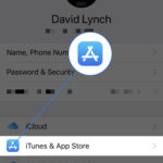 tap iTunes and app store