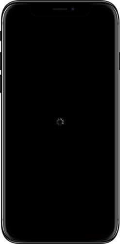 iPhone X Stuck In Restart Loop