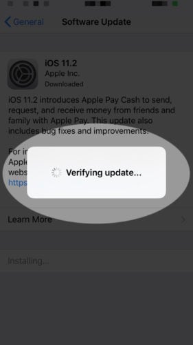 verify update on iphone