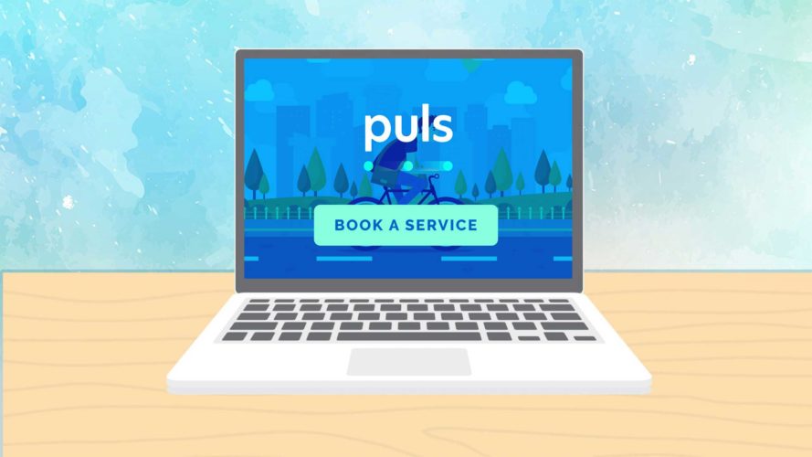 Puls Book Service