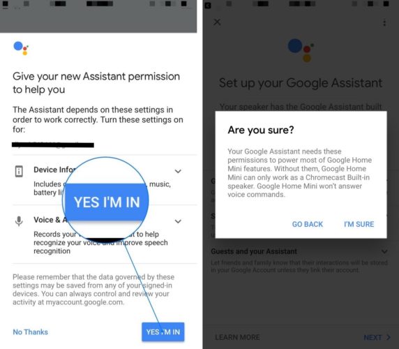 give google assistant iphone permission