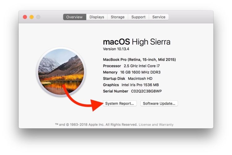 haz clic en informe del sistema en mac