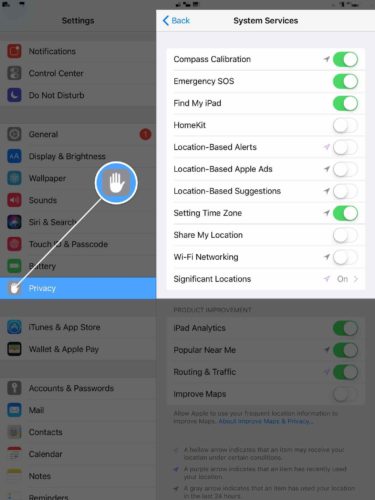 adjust system services settings on ipad