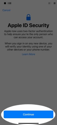 continue apple id security