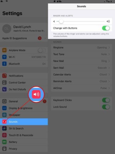 change with buttons ipad sounds settings