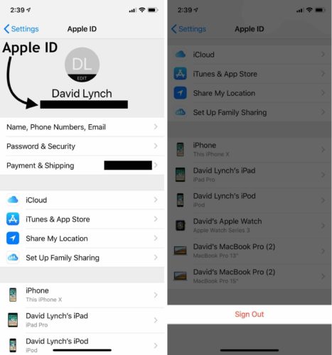 verifica el ID de Apple y cierra la sesión