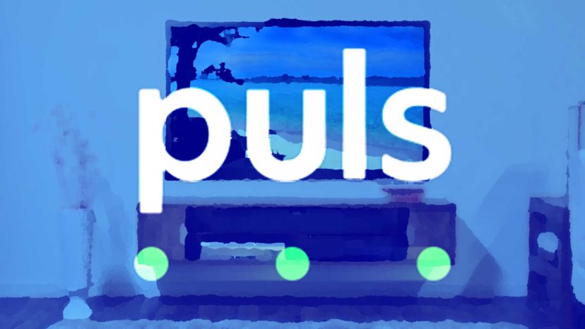 Puls TV Mount Promo Code