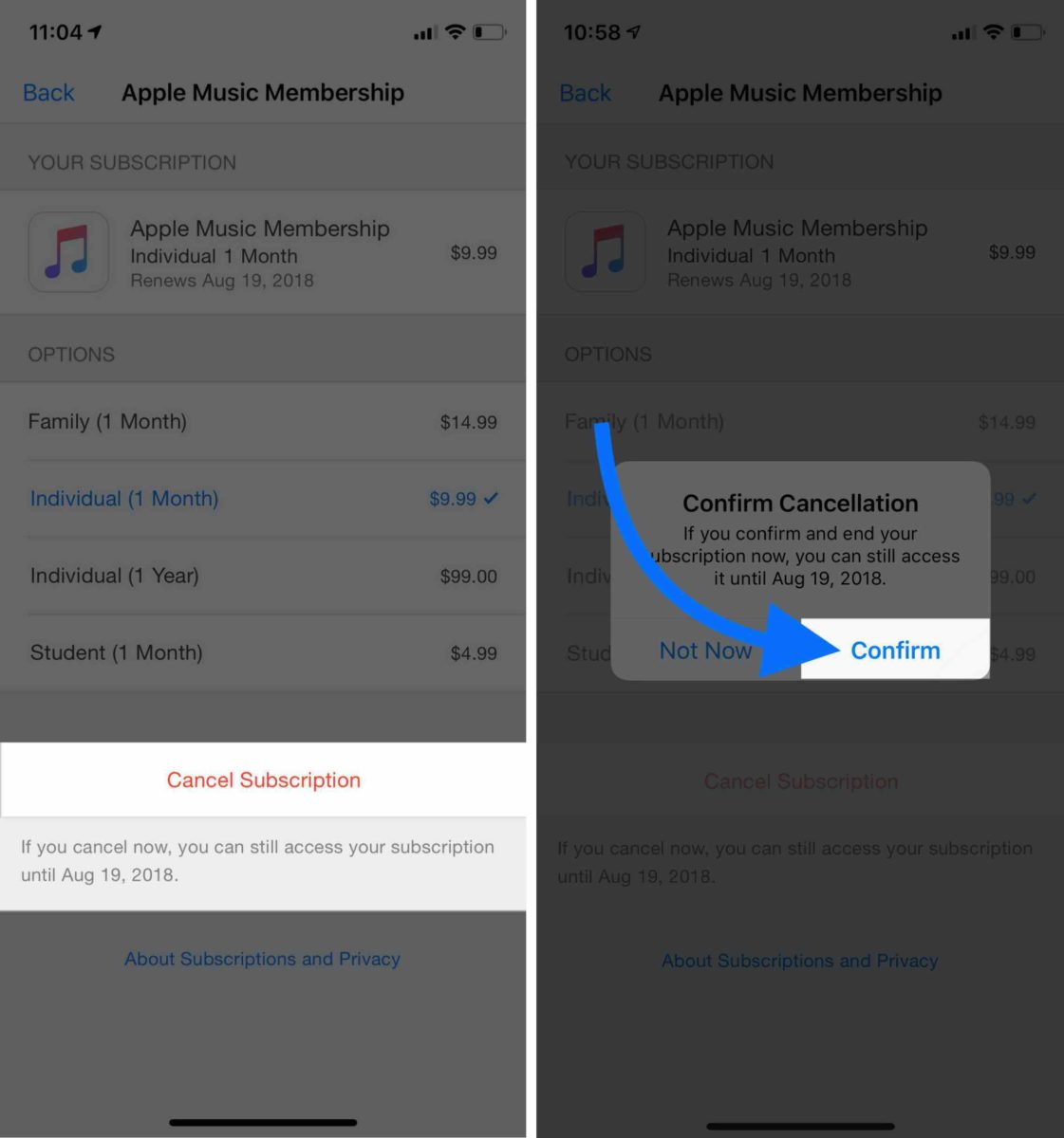 Como Veo Mis Suscripciones En Apple