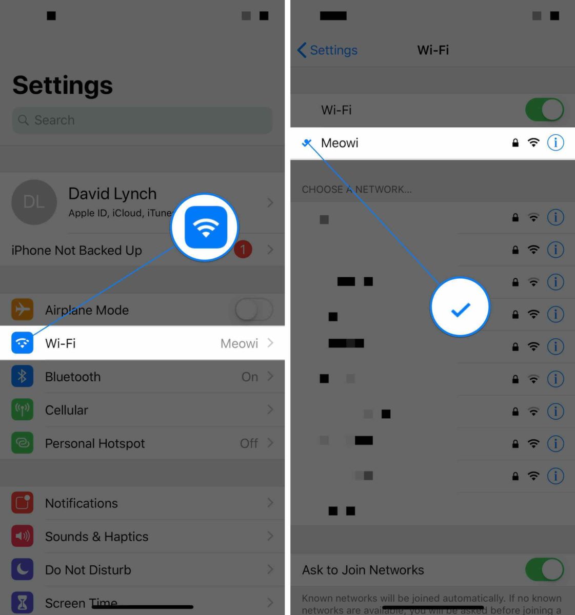 Zoom App Not Working On iPhone? Here's The Fix (For iPads Too)!