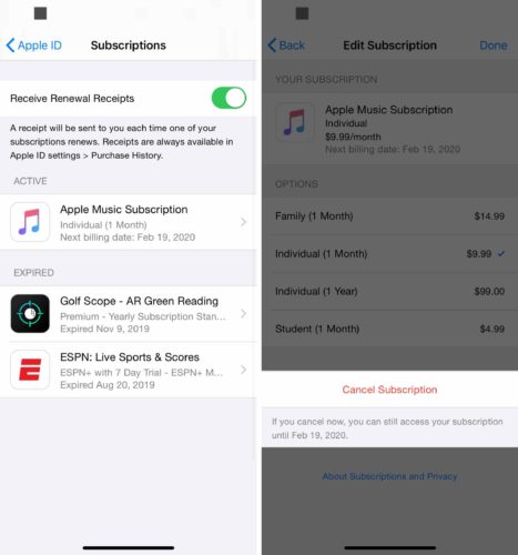 cancel subscription on iphone