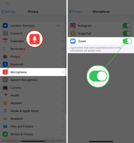 give zoom access to iphone microphone