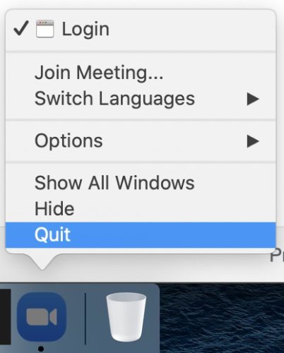 quit zoom on mac