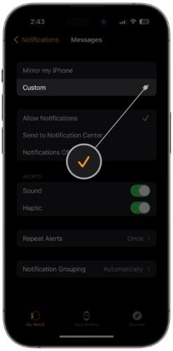 custom apple watch notification settings