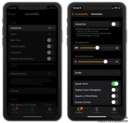 turn off voiceover and screen curtain on apple watch