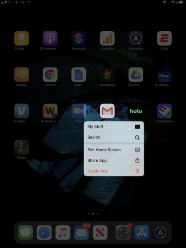 How to upgrade hulu on ipad 2025