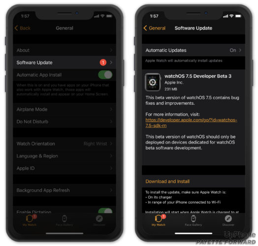 Apple Watch Not Pinging iPhone? Here's The Fix! - Payette Forward