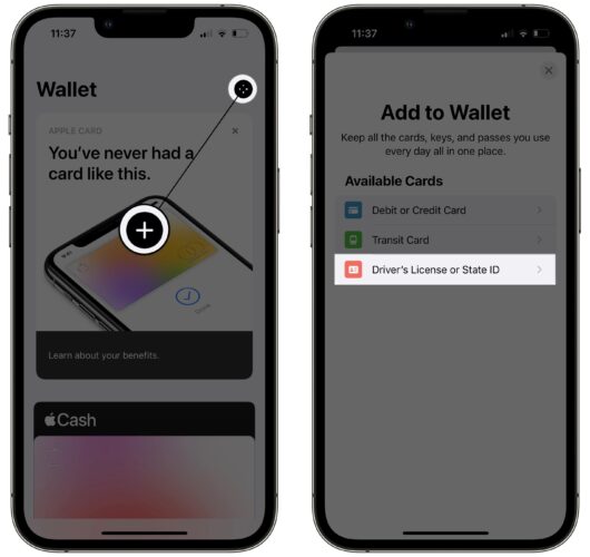 add drivers license or state id to wallet on iphone