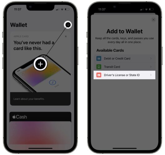 agrega la licencia de conducir o la identificación estatal a la billetera en el iPhone
