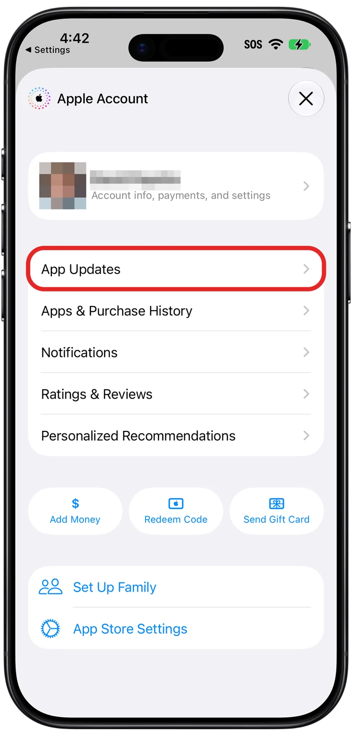 The App Store's Apple Account screen with the App Updates row marked in red